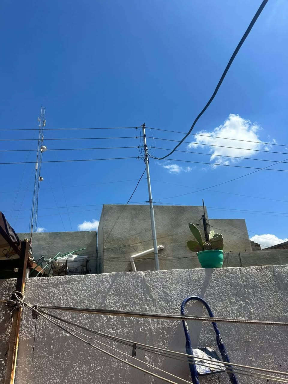بيت للبيع زراعي الصوب الثاني بستان سيد كريم ثاني فرع سنة 25 بيت بلوك عكادة كامل مكمل مساحة 200 وسعر 70 وبي مجال 
للتواصل ***********كافة الخدمات
