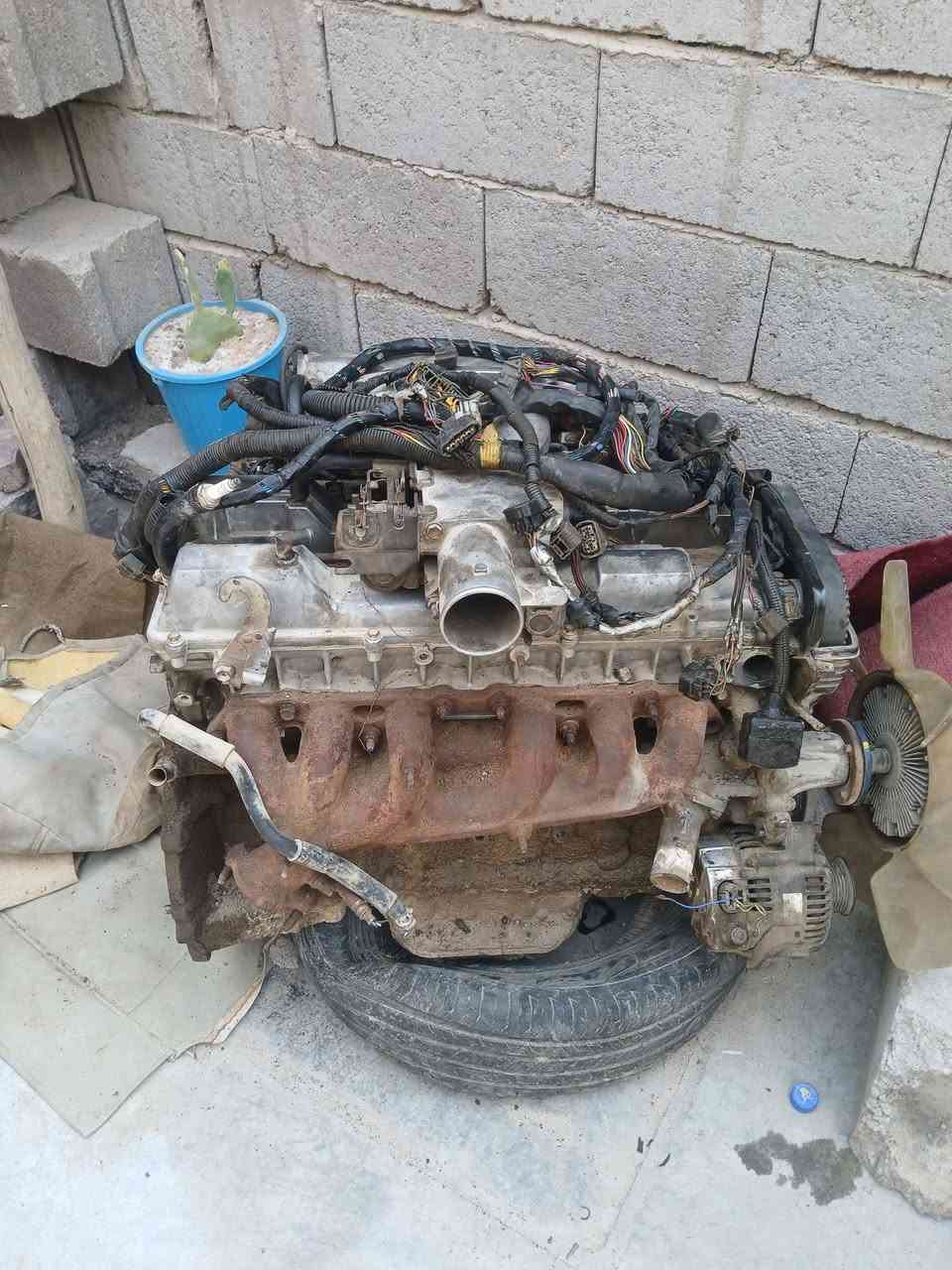 من رخصت الادمن مكينه 2ونص ديلكو مع تفرعاتها كامله مكمله مع العلم المكينه بيها بكن ابيعاه كايمه احسن سعر 500وبيها مجال رقم*********** العنوان بصره الموفقيه

