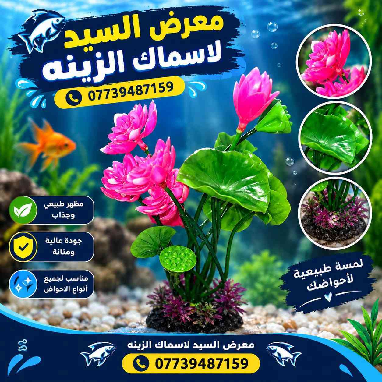 🌿🐠 ورد ونباتات زينة لأحواض الأسماك 🐠🌿

خلي حوضك أجمل وأحلى بألوان مميزة 🌸✨
متوفر لدينا تشكيلة متنوعة من ورد ونباتات الزينة الصناعية للأحواض بألوان وأشكال مختلفة 🌺🌿

✅ شكل طبيعي وجذاب
✅ ألوان زاهية ومميزة
✅ مناسبة لمختلف أحواض الأسماك
✅ تضيف لمسة جمالية رائعة للحوض

📍 معرض السيد لأسماك الزينة
📞 للطلب والاستفسار: ***********

💚 اختار اللون اللي يعجبك وخلي حوضك يختلف عن الباقين! 🐟🌸

#معرض_السيد_لاسماك_الزينة #اسماك_الزينة #احواض_الاسماك #نباتات_الاحواض #ورد_الاحواض #ديكور_احواض #اكواريم
