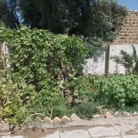 غماس ابو حجار • طابو صرف حر • ٣١٧م