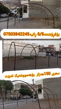 رانية السليمانية • غرفة نوم • بلا مشاكل