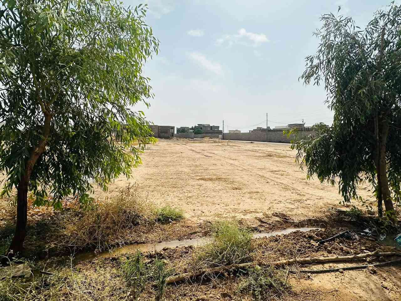 الفحل السايدين • ٧٠٠م • ركن شارع ١٢و١٠