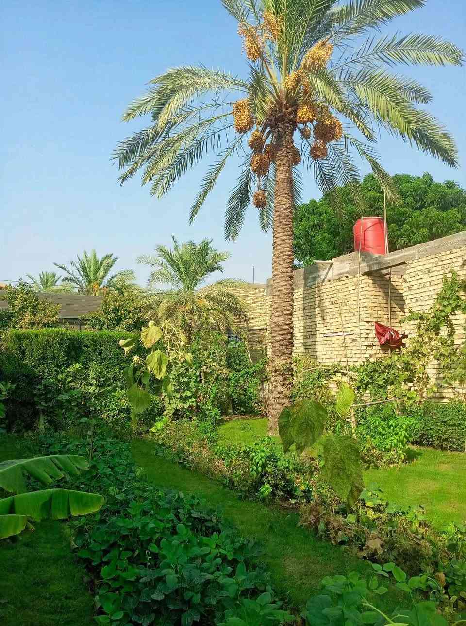 يا الله سلام عليكم يتوفر قطع اراضي مع هيكل مسقف مئسس ماء كهرباء مجاري باقي على تشطيب جنس الأرض ملك صرف موقع مميز قرب أثار بابل البيت بناء حديث تسليم مفتاح مساحة 400متر الي يحب يتواصل أهلاً وسهلاً حلة, بابل

نص مكتوب في الصور:
- ٢٤ سبتمبر، ٢٠٢٥ ***********٧٨١٨٢٦٢٩٩٢