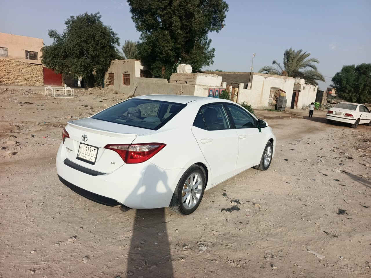 كورلا • ٢٠١٩ • رقم بابل