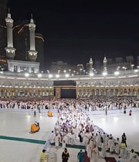 عمرة البر • برنامج أقساط • باصات حديثة