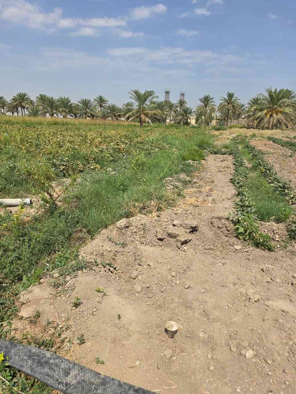 السلام عليكم للبيع قطعه 200متر 

طابو صرف سند 35 قرب لامام عون عليه السلام 
السعر 28وبيه مجال ***********
