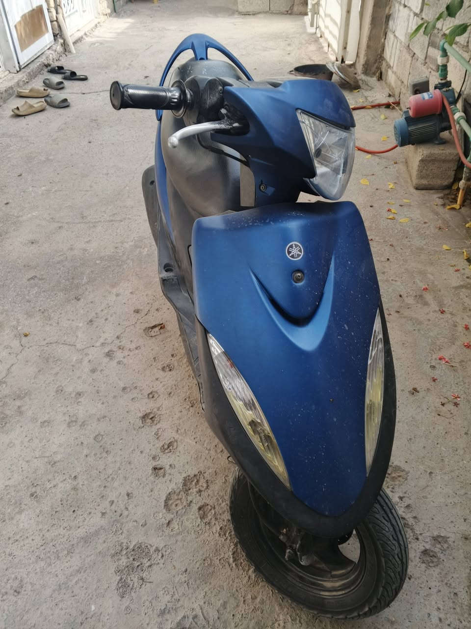 ماكس عدلة