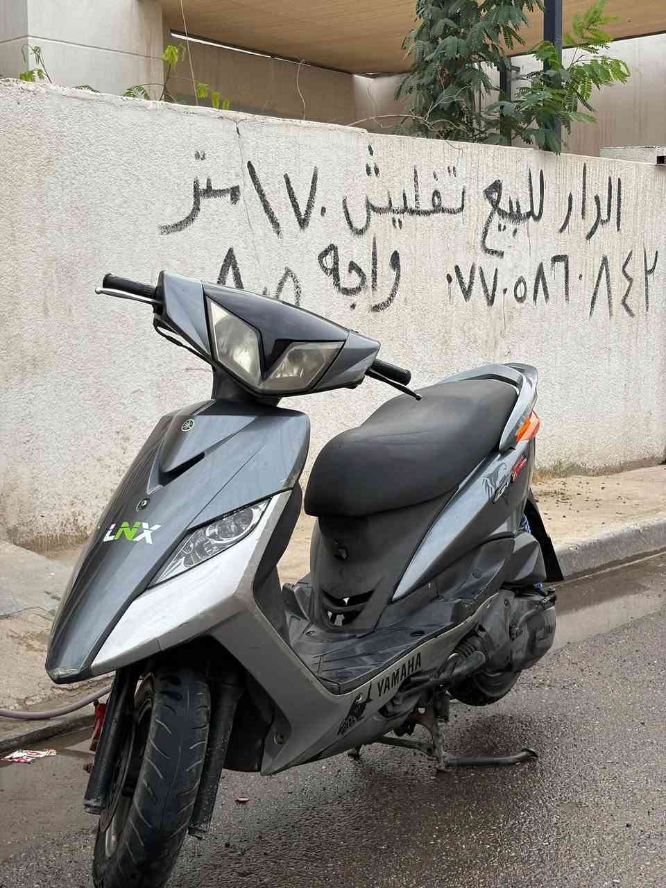 ثعلب • نظيف • نوزل