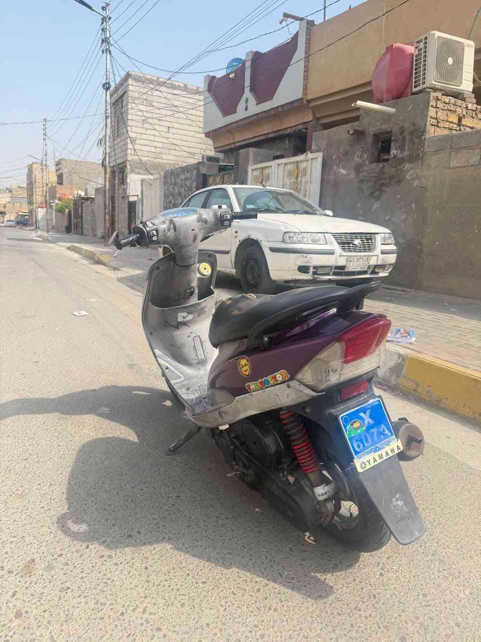 ماكس منغولي • بنفسجي • سلف