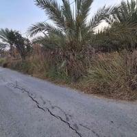 المدائن سلمان باك • ٤٠٠م • عقد زراعي