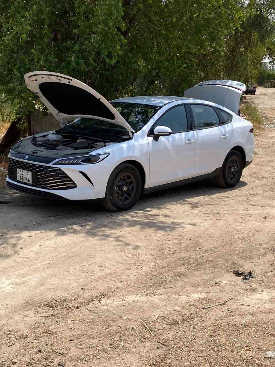 بي واي دي • موديل ٢٠٢٥