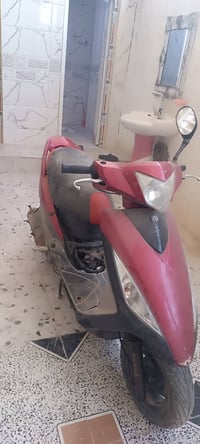 مامفتوح • تدخن • طافيه