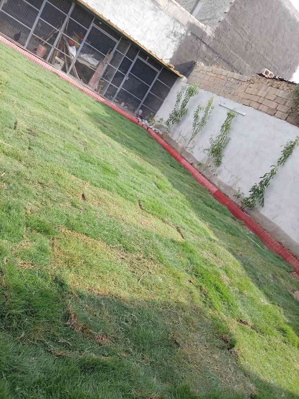 حديقة منجزة • قرب جامع السلام • تنسيق حدائق