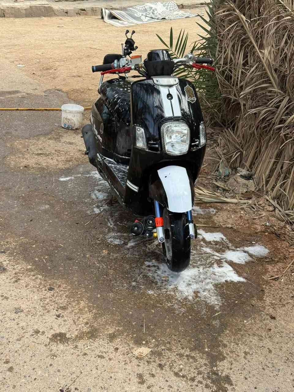 ناشفه • بوليس • مختمه