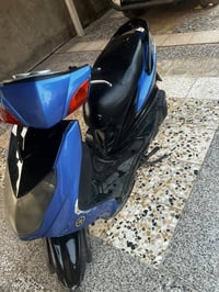سكنس فحل • مكفوله • كفرات زلوغ قليلة