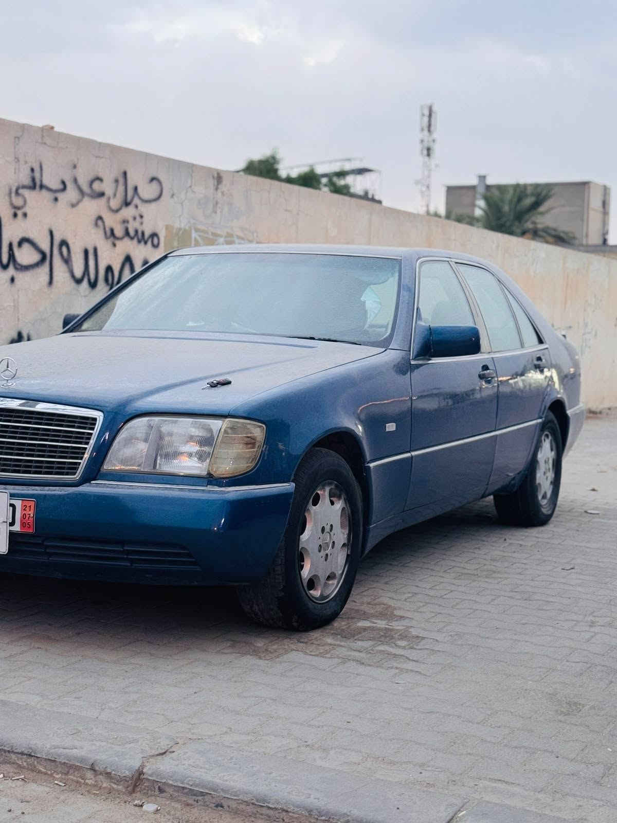 معمر • اسود • ازرق