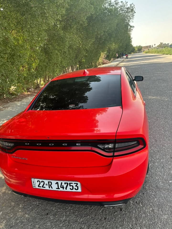 بيع مستعجل
السلام عليكم     جارجر 2023 

sxt لون مميز 

رقم اربيل تحويل ثاني يوم/ مكفولة من الغرق والصبغ والتبديل 

ماشيه 65 الف فقط كشنات شاشة كبيرة

مكينه 3600 

 شرط الفحص وين ما يعجبك ضربتها بسيطة وموجوده بالتصوير / السعر 250 وبيها مجال  / بيها كتاب تظليل بأسمي  /تغليف BDF

مكاني الديوانية / للأستفسار الاتصال على الرقم 

***********
