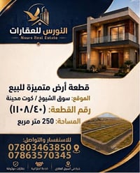 سوق الشوخ/كوت محينه • ٢٥٠م • طقعة ١١٠٨/٤٠
