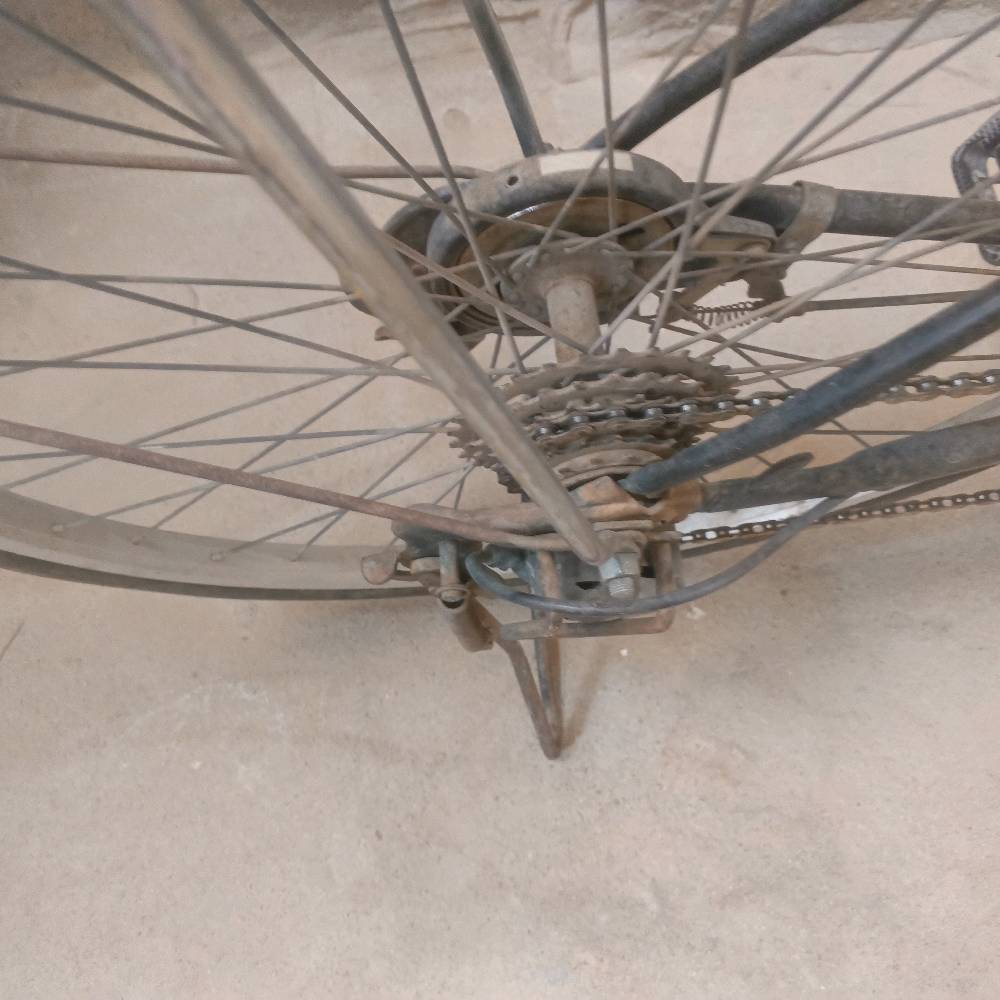 بايسكل • ناقصة • سوق الشيوخ