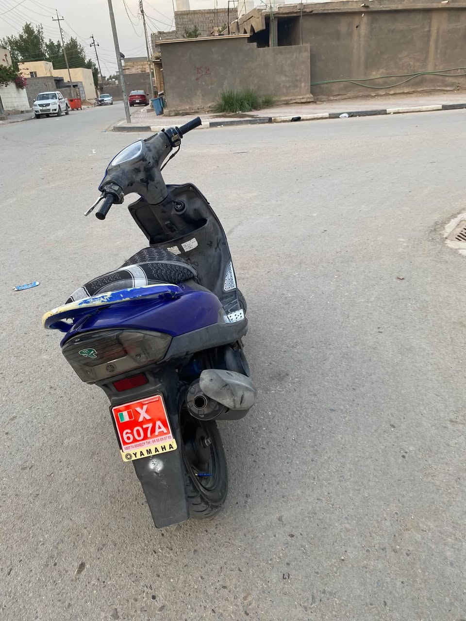 ماكس عدله • نشطه • ناشفة