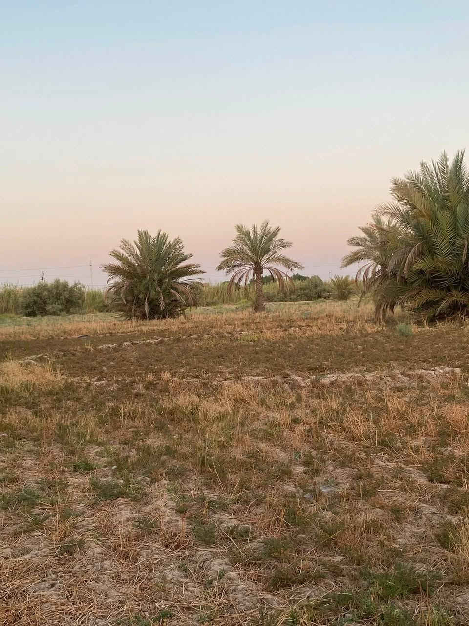 للبيــــــع ( بيع مستعجل )
8 دونم طابو زراعي سند 25 البيع شلع وغير قابلة للتقسيم تصلح للسكن والاستثمار
 
تحتوي على بيت سكن 250م² و حقل مواشي مع ٥٠ نخلة تمر مثمرة ومتنوعة الاصناف 

الموقع: واسط - العزيزية - اسواق كلنا العراق
خلف معارض السيارات  كما موضح بالخريطة
تبعد 400 متر عن الشارع العام 10 دقائق توصل لوسط العزيزية
الواجهة: 230 متر
الخدمات: تبليط واصل + ماء اسالة + كهرباء 3 فيز + مضخة ماء كهربائية مجازة

السعر: 750 مليون
مجال للمساومة البسيطة للجادين فقط

تنويه: المعاينة الميدانية ضرورية للجادين بالشراء. وهي التي تبين حقيقة الأرض اتصل او بيك خير ودلل ***********
