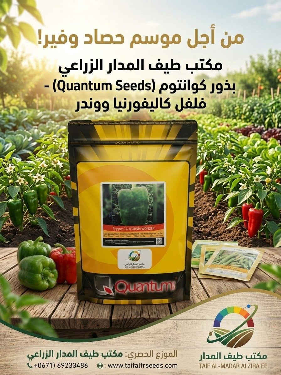 طيف المدار • قرية العباس • بذور ف1