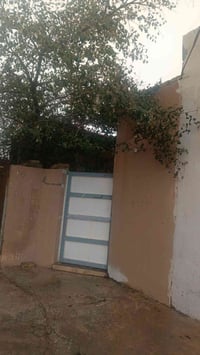 ملك شاه • ١٢٧م • فول سيراميك