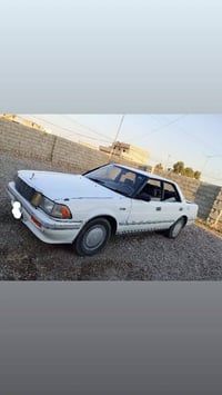 كير شرط • سنوية جديدة • مرشوشه جماليه