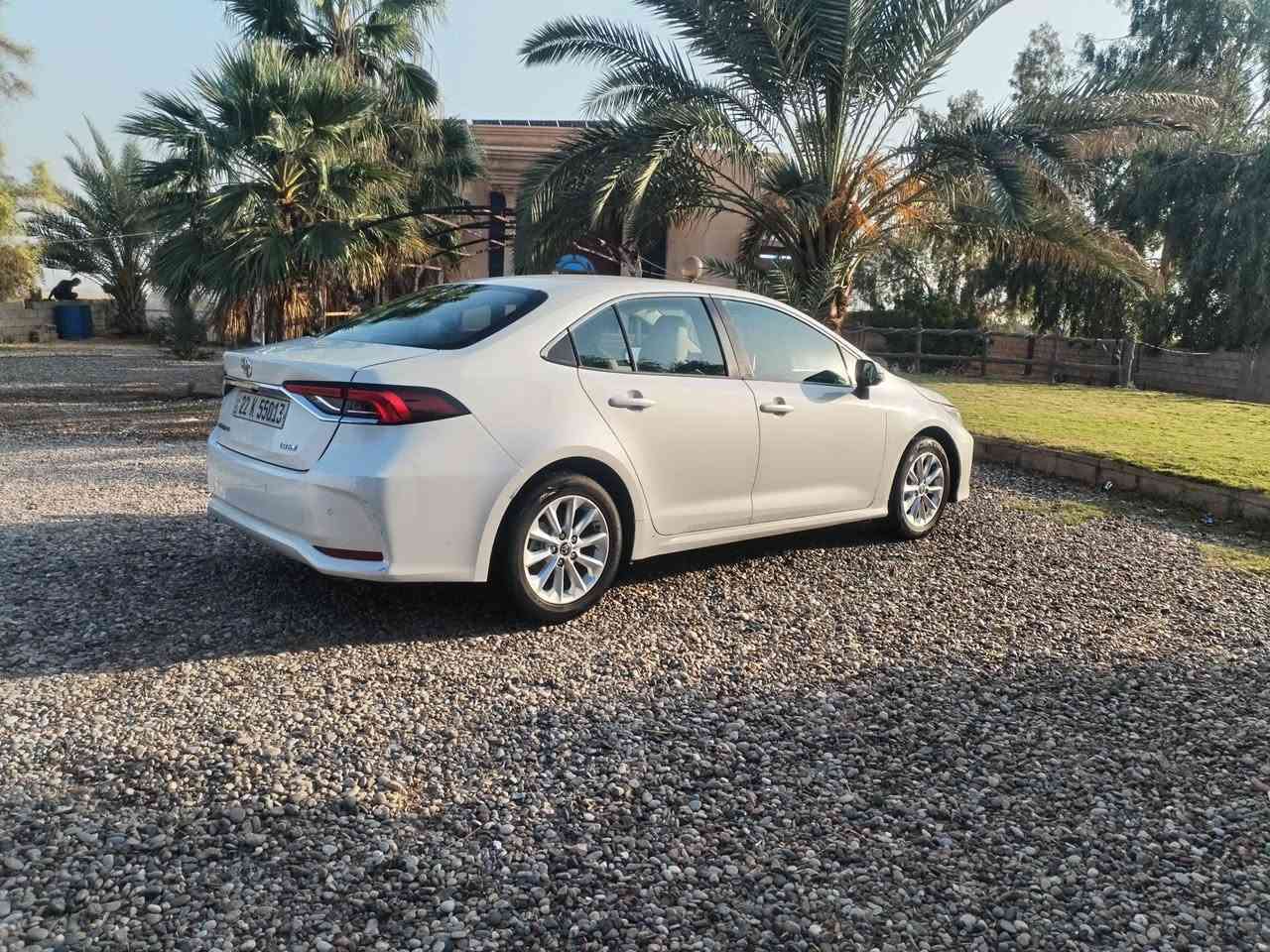 كورله • ٢٠٢٠ • بدون صبغ