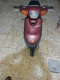 بطه • شغاله • شاصي مكفول