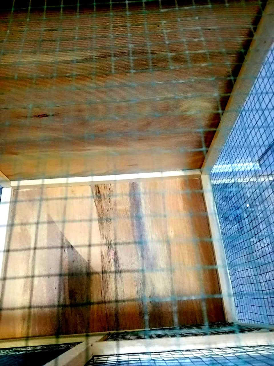 سلام عليكم اخوان زبائننا الكرام قفص🛖 طيور🦜 للبيع💰 السعر ١٨ جديد✨ غير مستخدم نهائياً 🙅🏻‍♂️يوجد خدمة توصيل🚲 مجاني داخل قضاء عنه🏙️ للاستفسار ارسل رسالة الى Abd Almunam Alrawi او اتصل على الرقم 🔴***********🔴
