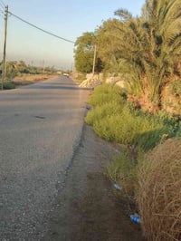 الدورة • طابو صرف • ٣ دونمات