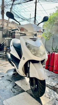 سكنس فحل • ياباني • ماشية ٤٥٠٠٠