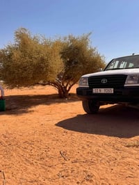 لاندكروز سلك • ٢٠٠٤ • دفع رباعي