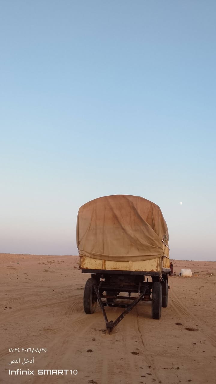 السلام عليكم عربانه للبيع عربان بلاديه عنوان كربلاء مكلف بالنشر/***********
