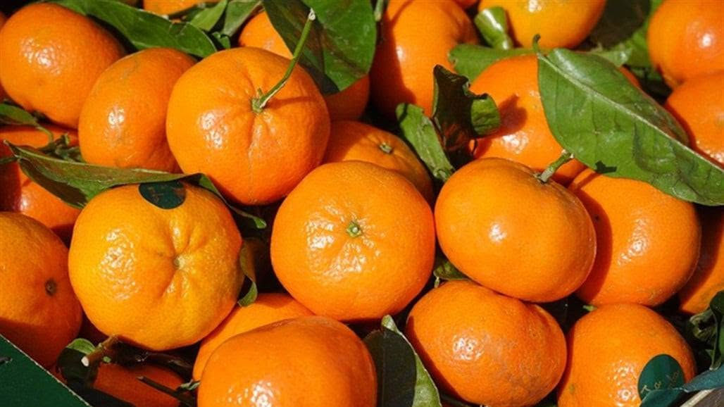 🥬🍅🍎
تسوق وانت بمكانك وخلي راحتك علينا 🌿
نوفرلكم أجود أنواع الخضروات والفواكه الطازجة يومياً 

منتجاتنا مختارة بعناية حتى توصلكم بأفضل جودة وطعم

📦 توصيل سريع لباب البيتك 
📍 توصيل جميع مناطق  العزيزية مدينتي  ب1000 فقط 

لا تتعب نفسك بالسوق… إحنا نجيب السوق لعندك 😉
للطلب والاستفسار راسلونا خاص 📩
الواتساب ***********
او الاتصال ***********
