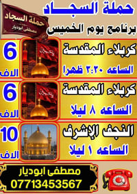 حملة السجاد • كربلاء • النجف