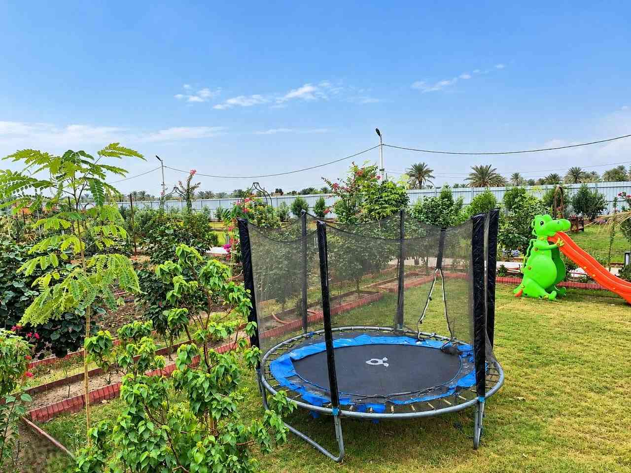 دونمين • طابو زراعي • سند ٢٥