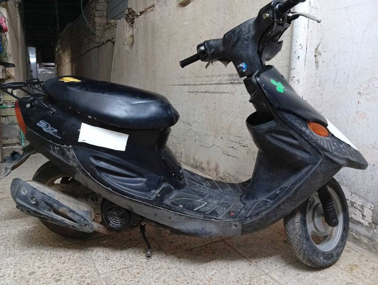 ام تسع زروف • نضيفة • اوراق