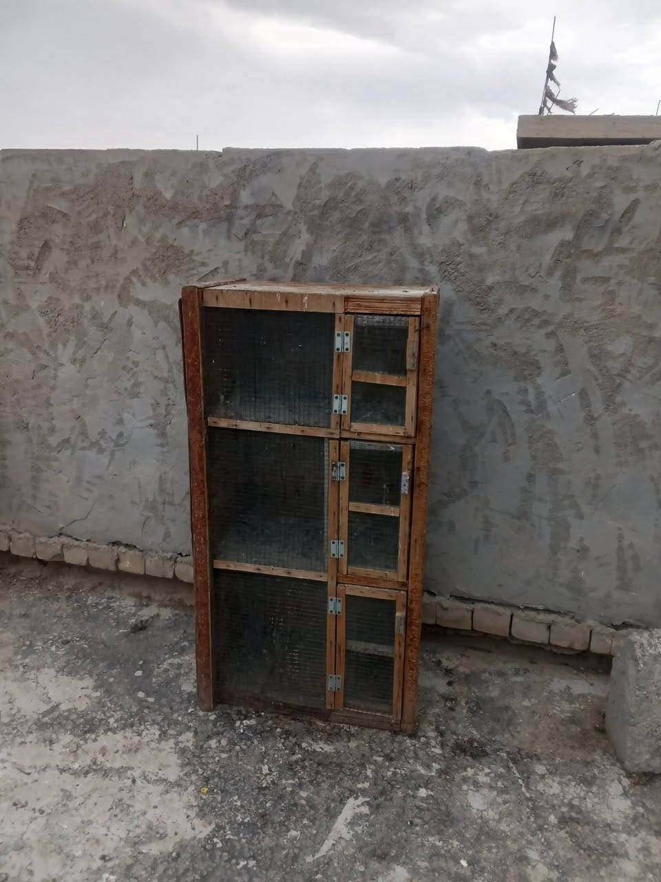 خانات طيور • تاجي ابو عظام • كبيرة وصغيرة