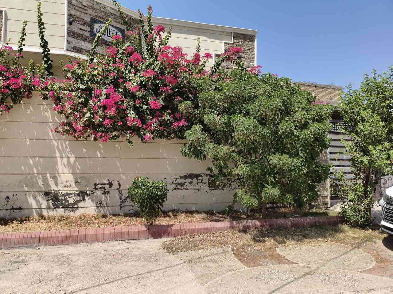 بيت للبيع ٢٥٠ متر واجهه ١٢ ونص نزال ٢٠ طابو زراعي سند ٢٥ تحويل بيت حديث يتكون من حديقه كراج صحيات خارجيه واستقبال ومطبخ وهول كبير + كلدور وغرفتين نوم جوه وثالثه فوك بيت جدا مرتب عنوان حله ورديه خلف شركة ابو كيره السعر ١٢٠ وبي مجال وممكن يباع مع الاثاث حسب الاتفاق اي استفسار عالرقم *********** بي اتساب ايظا
