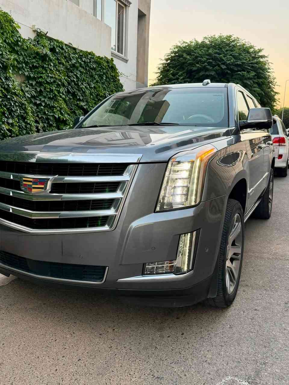فول فول موصفات
مودیل 2018
150000km
مکان سلیمانیە 
***********
بدونە صبوغ شریکە منصور
