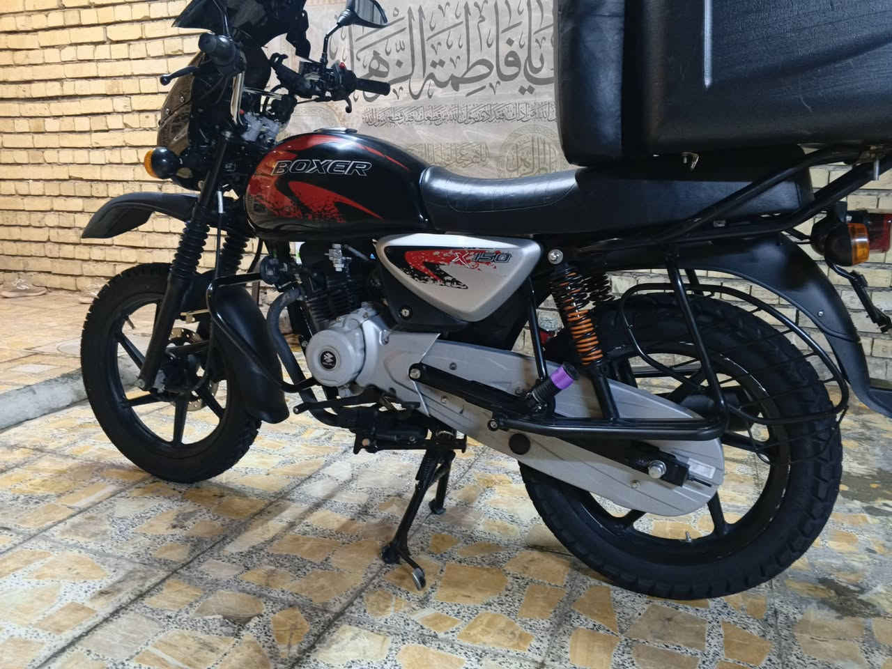 بوكسر جبلي • ٢٠٢٥ • كفاله