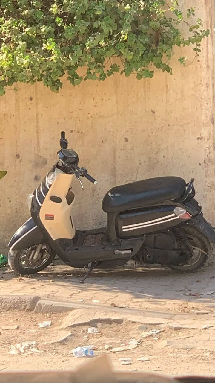 ماكس بوليس • شكل صيني • مكينة ياباني