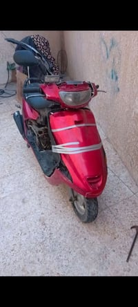 فراشه • فحل • طاك