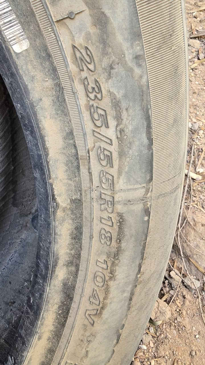 زوج • للبيع • بغداد