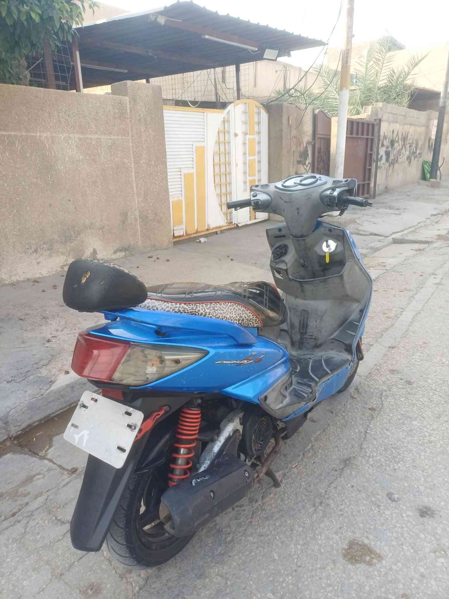 سكنس فحل • كابريتر • بلاديه