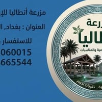 حجوزات واتساب • إيجار • الدورة البوعيثة