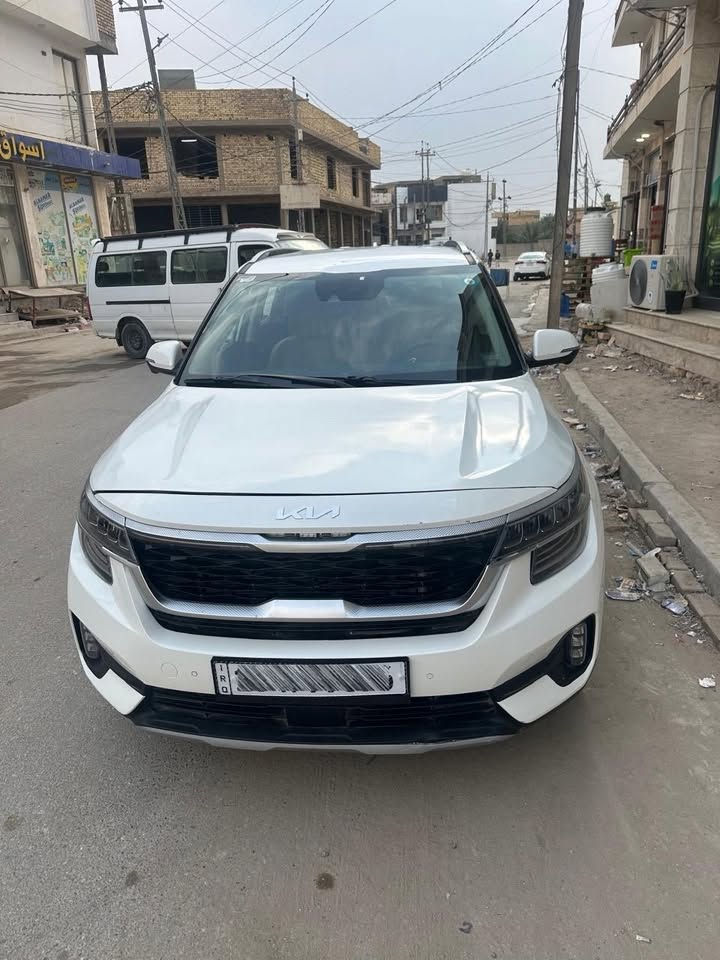 سلتوز • ٢٠٢٤ • رقم شهداء