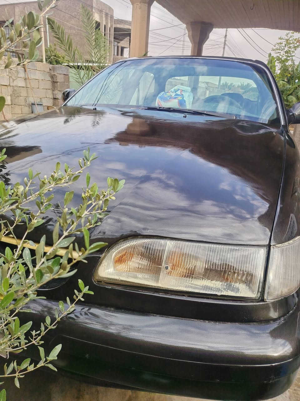 سوناته تو • ١٩٩٣ • للبيع